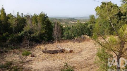 Annonce Vente Terrain Castelo-branco