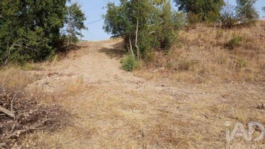 Acheter Terrain 800 m2 Castelo-branco