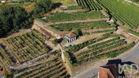 Annonce Vente Terrain Amarante