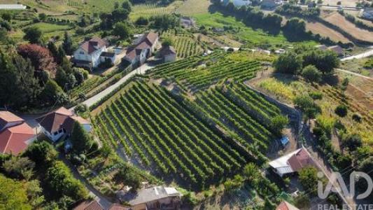 Acheter Terrain Amarante r�gion PORTO