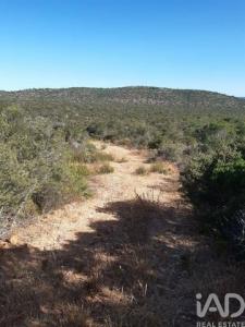 Acheter Terrain 32767 m2 Albufeira