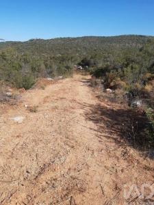 Acheter Terrain Albufeira r�gion FARO