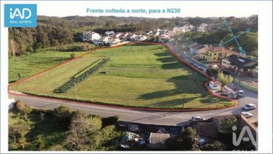 Annonce Vente Terrain Aveiro