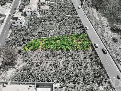 Acheter Terrain 493 m2 Ribeira-brava