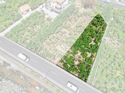 Acheter Terrain Ribeira-brava r�gion MADEIRA
