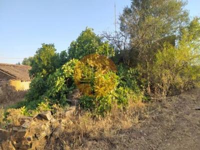 Acheter Maison Castro-marim r�gion FARO