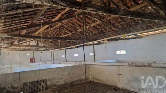 Acheter Maison Batalha r�gion LEIRIA