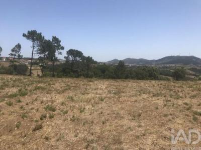Annonce Vente Terrain Mafra