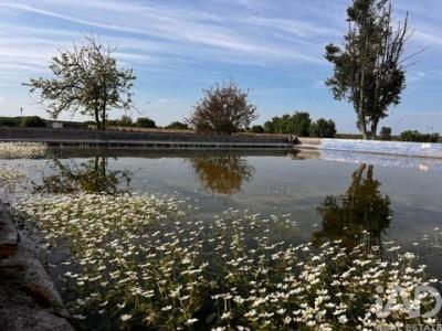 Acheter Maison Viana-do-alentejo r�gion EVORA