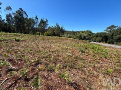 Acheter Terrain 4600 m2 Esposende
