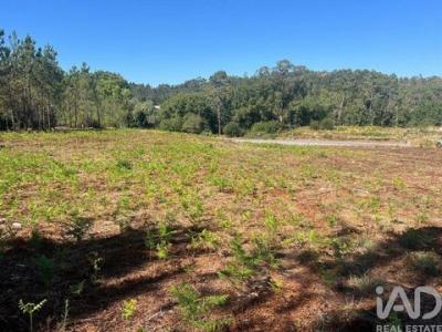 Acheter Terrain Esposende r�gion BRAGA