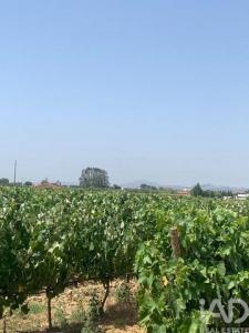 Vente Terrain Palmela POCEIRA�O-E-MARATECA 15 au Portugal