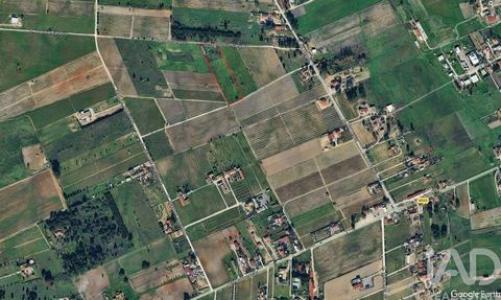 Annonce Vente Terrain Palmela
