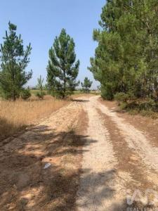 Acheter Terrain Palmela r�gion SETUBAL