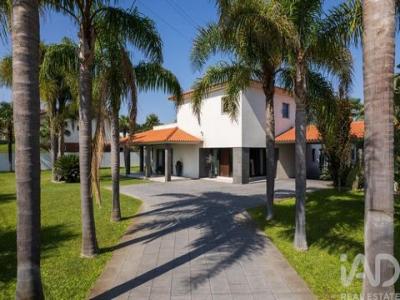 Annonce Vente Maison Oliveira-do-bairro