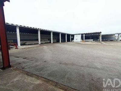 Annonce Vente Terrain Marinha-grande