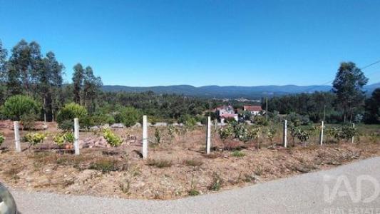 Acheter Terrain 1902 m2 Pedrogao-grande
