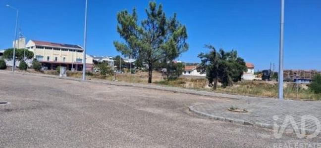 Annonce Vente Terrain Vila-de-rei