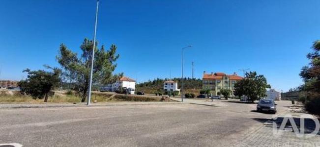 Acheter Terrain Vila-de-rei r�gion CASTELO-BRANCO