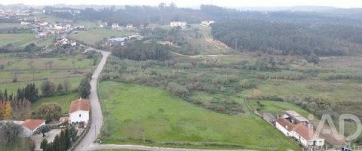 Acheter Terrain Coimbra r�gion LEIRIA