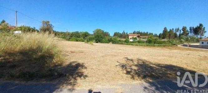 Annonce Vente Terrain Pedrogao-grande