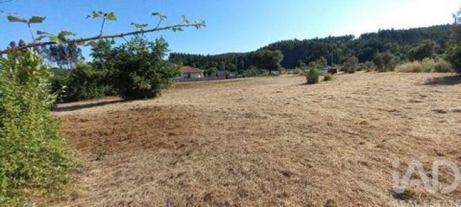 Acheter Terrain 2222 m2 Pedrogao-grande