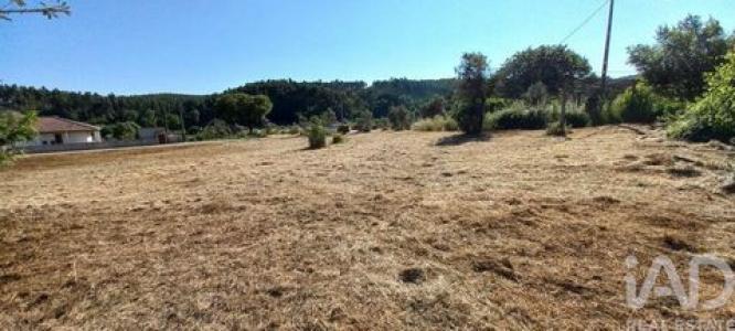 Acheter Terrain Pedrogao-grande r�gion LEIRIA