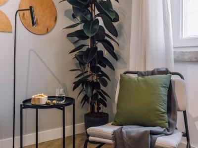 Louer Appartement 58 m2 Lisboa