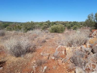 Annonce Vente Terrain Loule