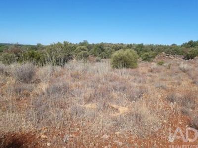 Acheter Terrain 4370 m2 Loule