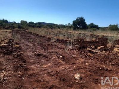 Annonce Vente Terrain Loule