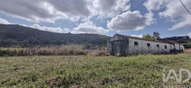 Acheter Terrain Rio-maior r�gion SANTAREM