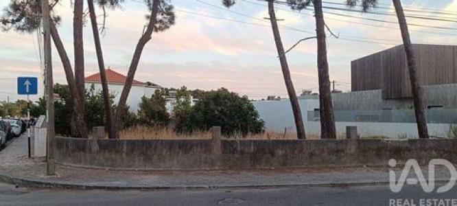 Acheter Terrain 615 m2 Almada
