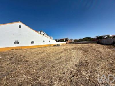 Acheter Terrain 670 m2 Marinha-grande