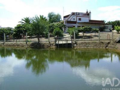 Annonce Vente Terrain Beja