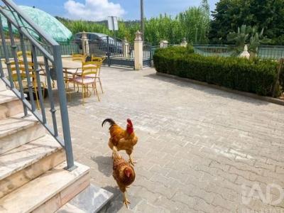 Acheter Maison Pombal r�gion LEIRIA