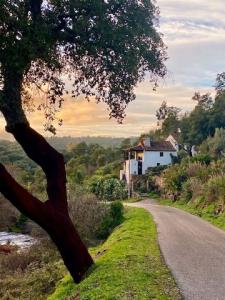 Acheter Maison Marvao r�gion PORTALEGRE