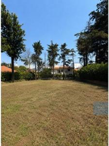 Acheter Terrain 498 m2 Oeiras