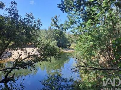 Acheter Terrain 4550 m2 Lousa
