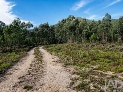 Annonce Vente Terrain Gondomar