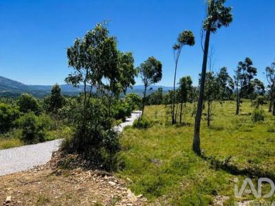 Acheter Terrain 24000 m2 Gondomar
