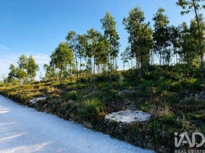 Acheter Terrain Gondomar r�gion PORTO