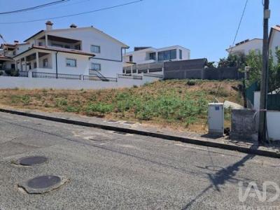 Acheter Terrain 671 m2 Leiria