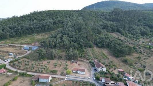 Acheter Terrain Penela r�gion COIMBRA