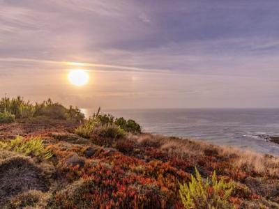 Acheter Terrain 11125 m2 Mafra