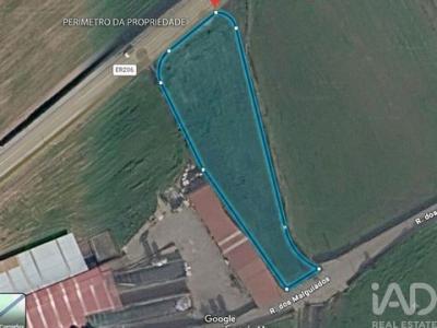 Annonce Vente Terrain Vila-do-conde
