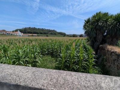 Acheter Terrain 1470 m2 Vila-do-conde
