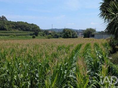 Acheter Terrain Vila-do-conde r�gion PORTO