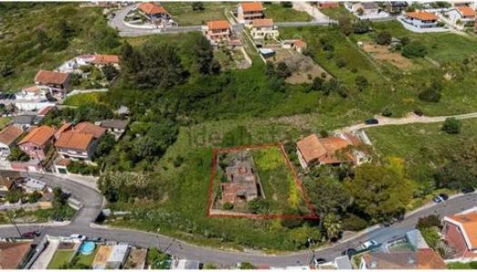Annonce Vente Terrain Laje