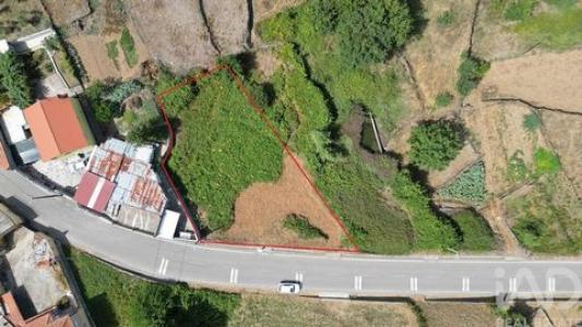 Annonce Vente Terrain Miranda-do-corvo